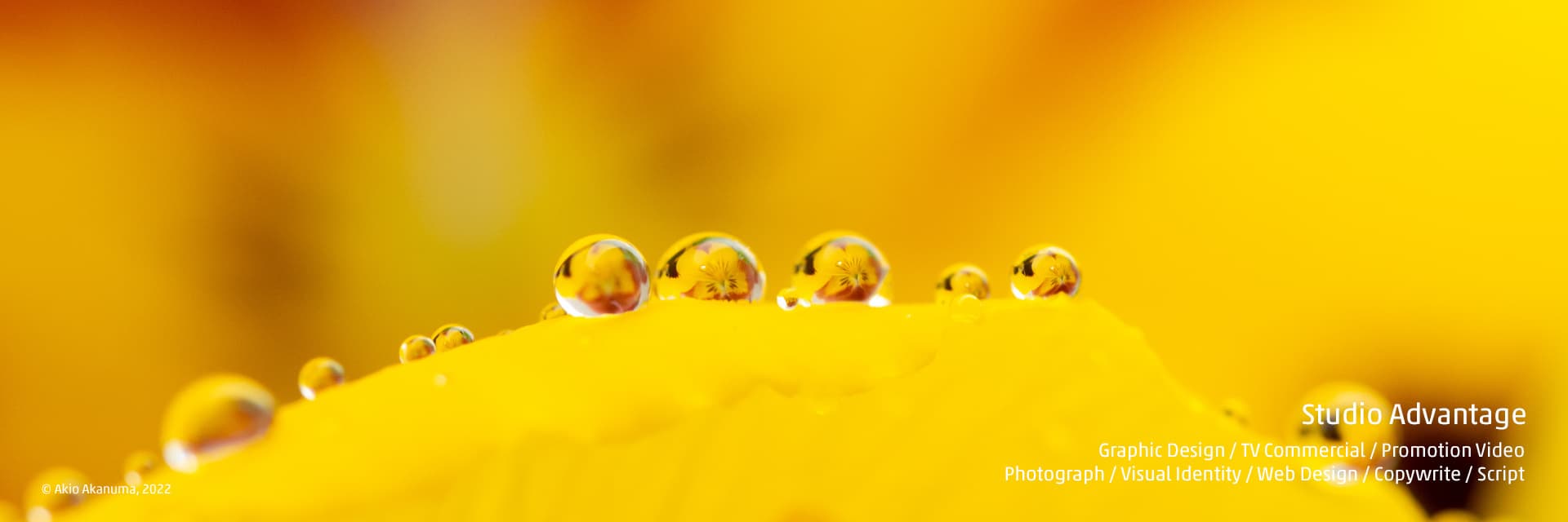 billboard_2022_1920_morningdew.jpg